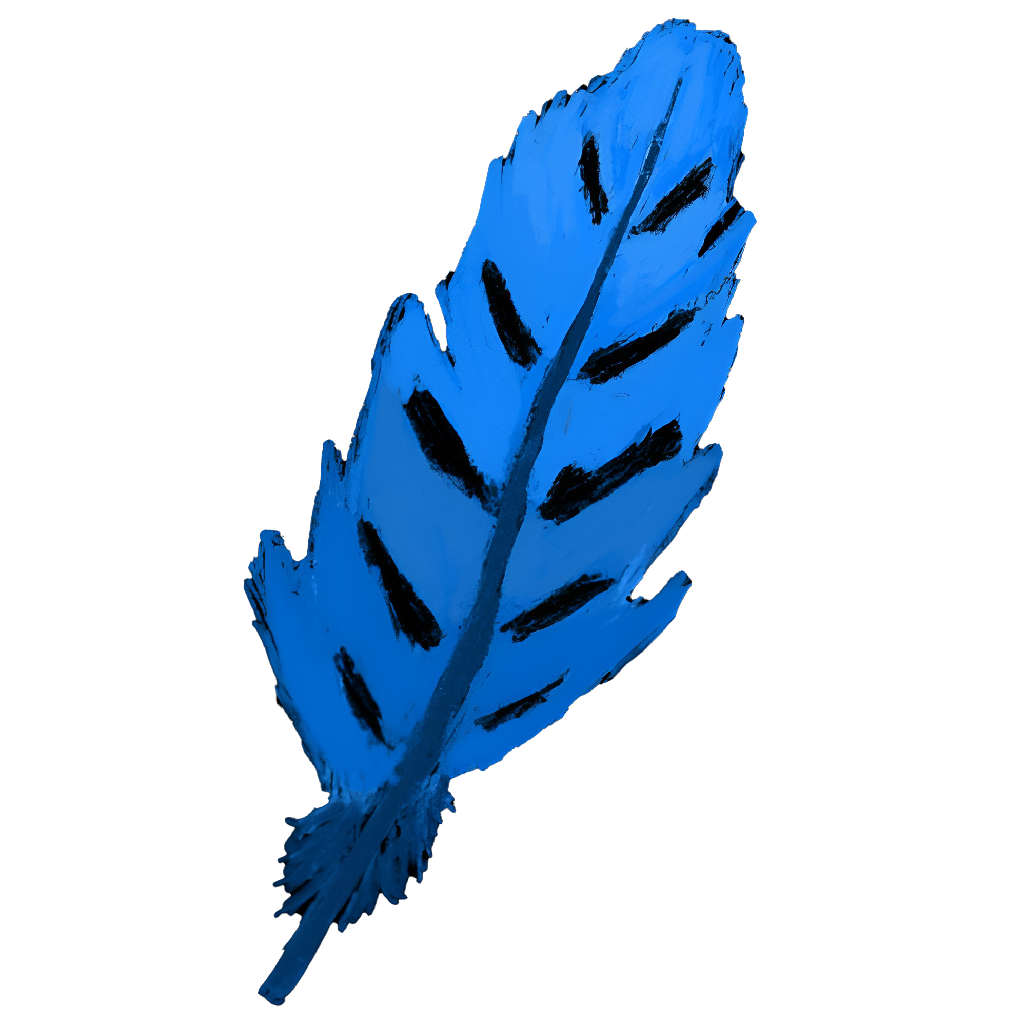 Feather illustration